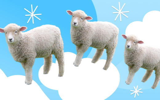 Как это придумали: считать овец и открывать окно перед сном, проверять сонник с утра