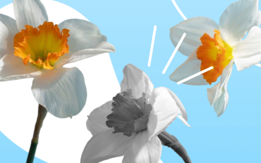 Как весна влияет на тело и&nbsp;психику: советы для плавной адаптации к теплому времени года