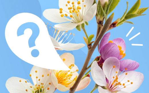 «Весеннее обострение»: миф, бытовой ярлык или реальная проблема?