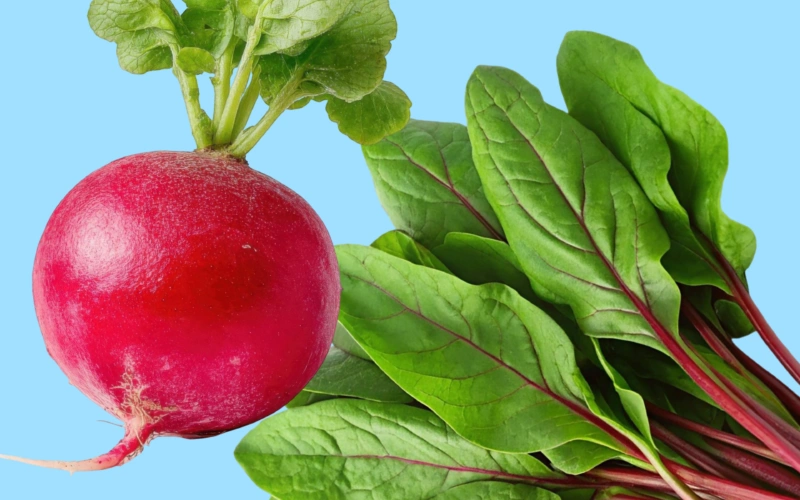 Весенний рацион: 5 блюд из&nbsp;сезонных продуктов