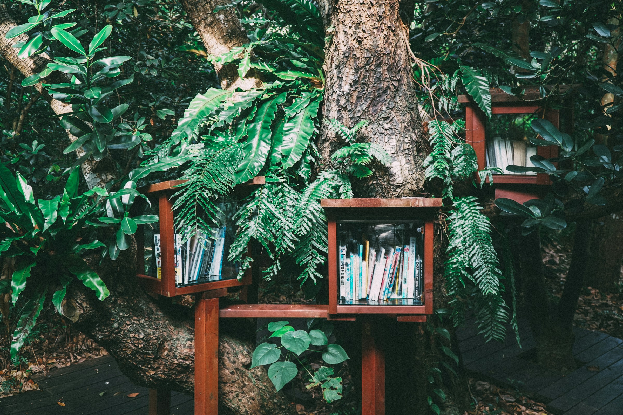 Новый тренд в отпусках — book-cation: уехать, чтобы почитать